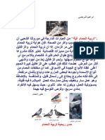 Download-PDF- كتب الحمام كل الكتب