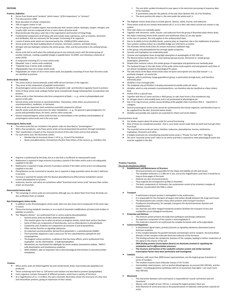 Proteins Proteins Definition PDF Amino Acid Proteins