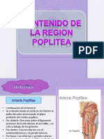 Contenido Region Poplitea