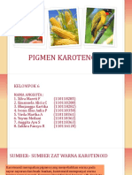 Pigmen Karotenoid Nosiiii 