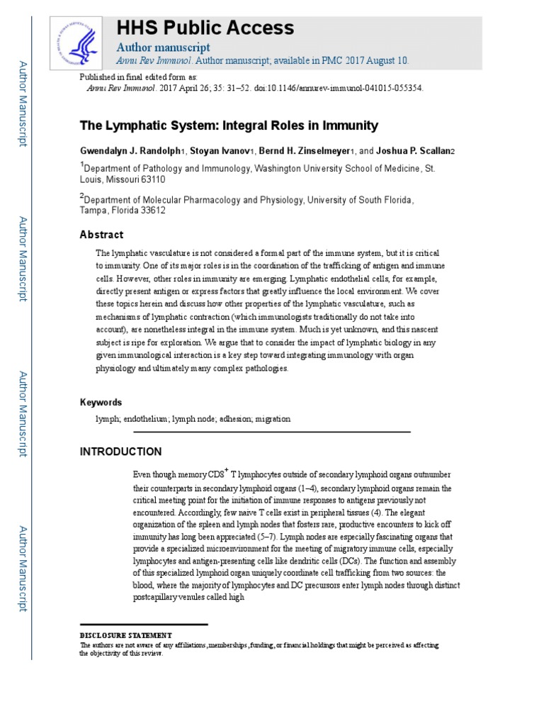 Lymphatic System | PDF | Lymphatic System | Lymph Node