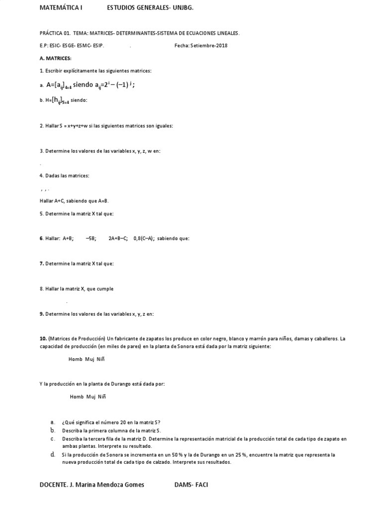 Práctica de Matrices y Sistemas Lineales | PDF | Determinante | Matriz ...