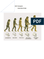 Theory of Man's Evolution