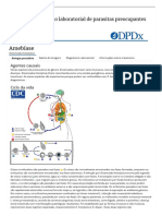 CDC - DPDX - Amebíase