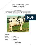 244694259-PLAN-DE-NEGOCIO-CHAMACA-docx (1).docx