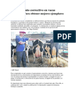 Apareamiento Correctivo en Vacas Lecheras