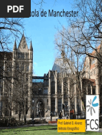 -Mayer-A-importancia-dos-quase-grupos.pdf