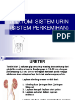 276537715-Anatomi-Fisiologi-Sistem-Urinaria-PPT.ppt