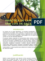 Diapositivas de PRACTICA DE CAMPO SAN LUIS DE GACENO