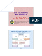 Stages in The Cellular Response To Stress & Injurious Stimuli