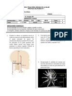 Practica Calificada Ciencias de La Salud