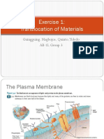 Exer 1 Translocation of Materials