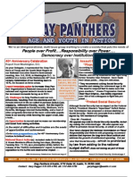 Newsletter Grey Panthers