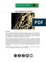 BacteriasFijadorasdeNitrogeno.pdf