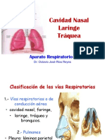 Aparato Respiratorio I-II-III.ppt