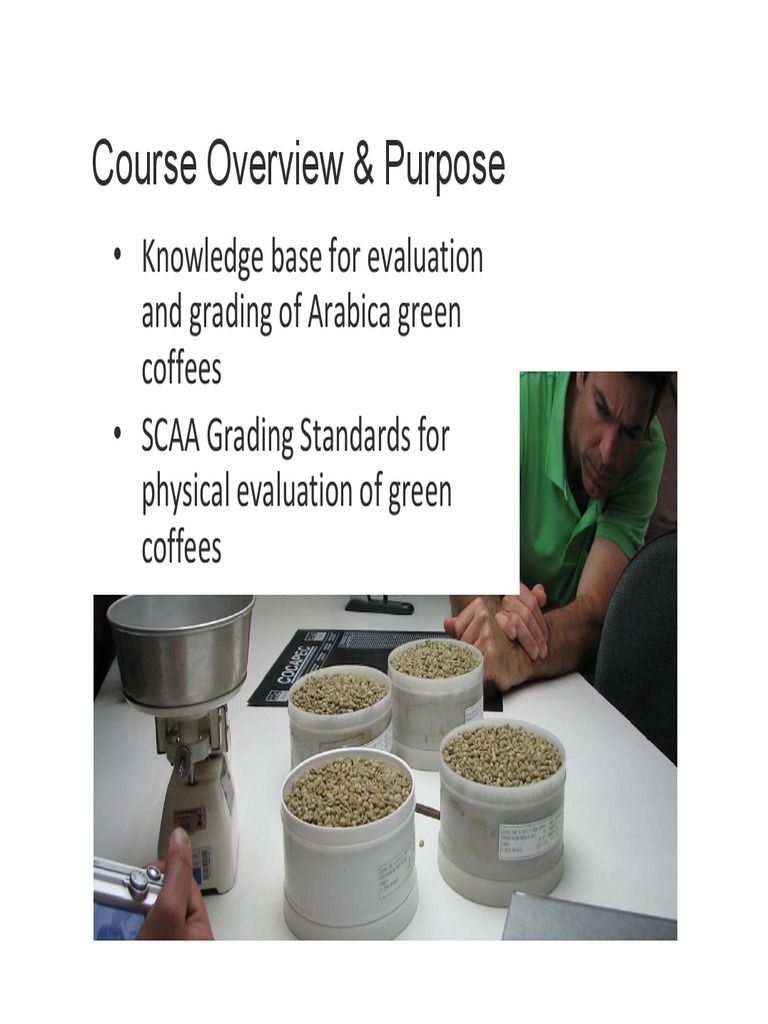 Green Coffee Grading Standards Overview | PDF | Coffee | Humidity
