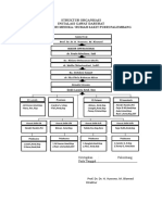 Struktur Organisasi Rs - Pusri