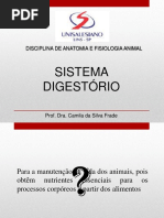 sistema slide