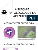 408481014-Apendicitis.pptx