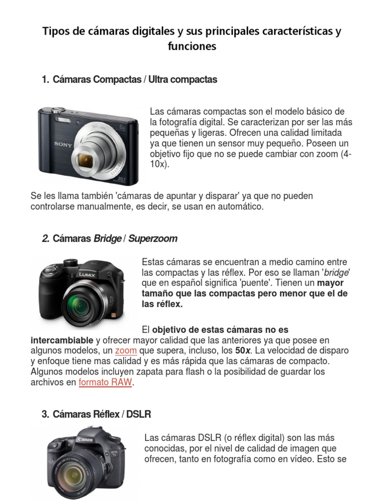 Cámara digital vs. cámara analógica: sus características y diferencias