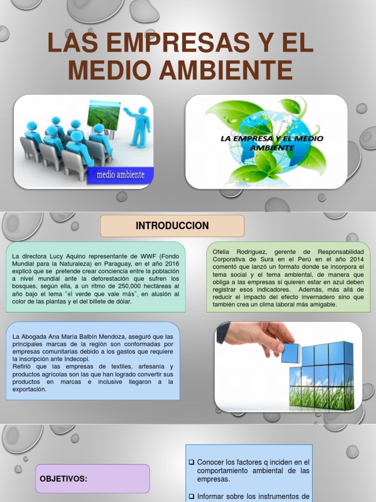 Las Empresas y El Medio Ambiente | PDF | Entorno natural | Crecimiento ...