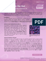 Immunity in The Gut PDF