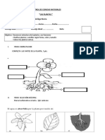 Control de Ciencias Naturales