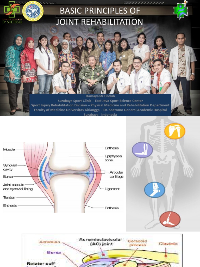Basic Principles of Joint Rehabilitation Final | PDF | Physical Therapy ...