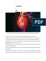 Circulatory System