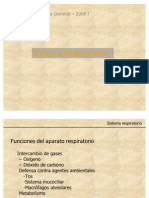 Clase Respiratorio-Final