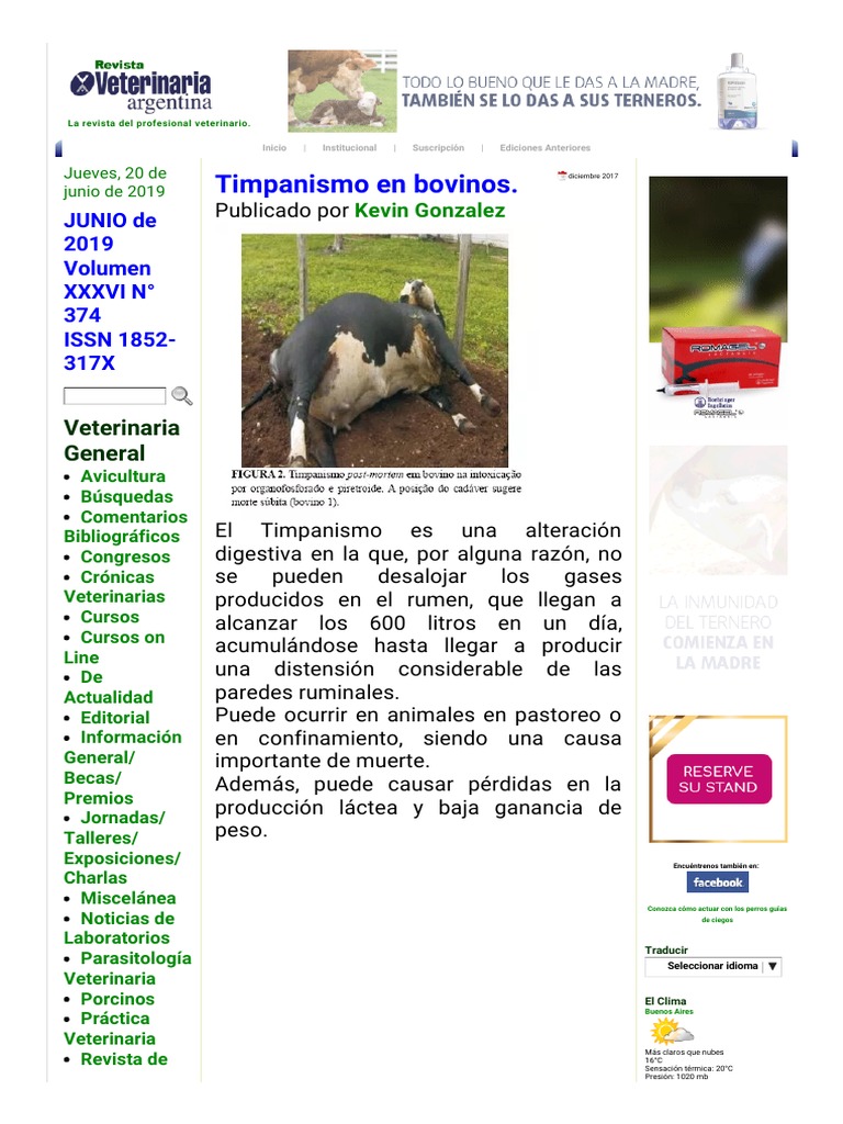 Revista Veterinaria Argentina Timpanismo en Bovinos PDF Vacas Leche
