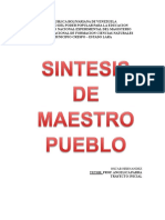 Sintesis de Maestro Pueblo