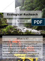 Eco Rucksack Ismael