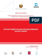 Estudo Salario Mocambique Salary Survey