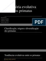 História evolutiva dos primatas.pptx