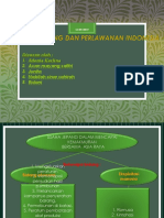 Disusun Oleh: 1. Adenia Karlina 2. Axan Mayang Safitri 3. Junita 4. Nabilah Sinar Sahirah 5. Ridani