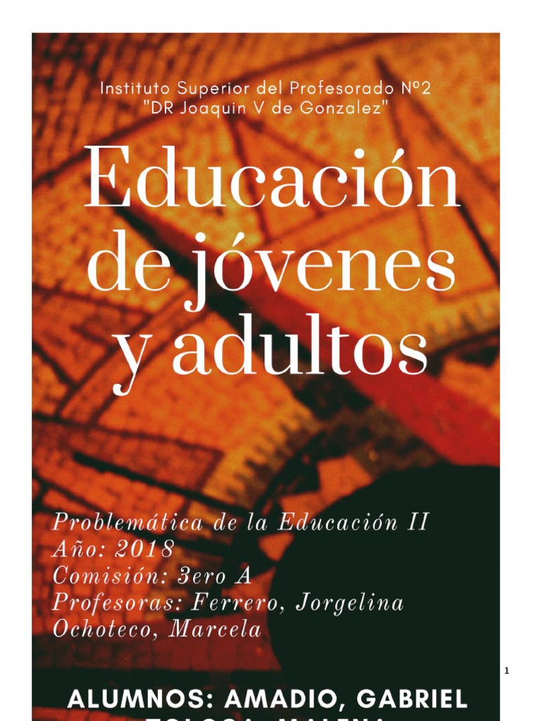Alfabetizacion en Jovenes y Adultos | PDF | Plan de estudios ...