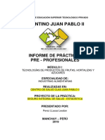 Informe de Practicas Ina II-b