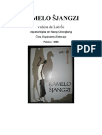 kamel_dulingve.pdf