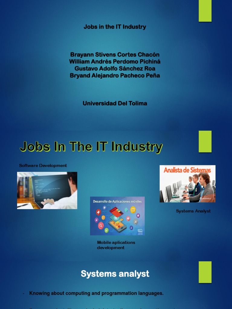Careers in IT: Systems Analyst Guide | PDF