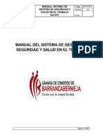 MANUAL_SISTEMA_DE_GESTION_DE_SEGURIDAD_Y.pdf