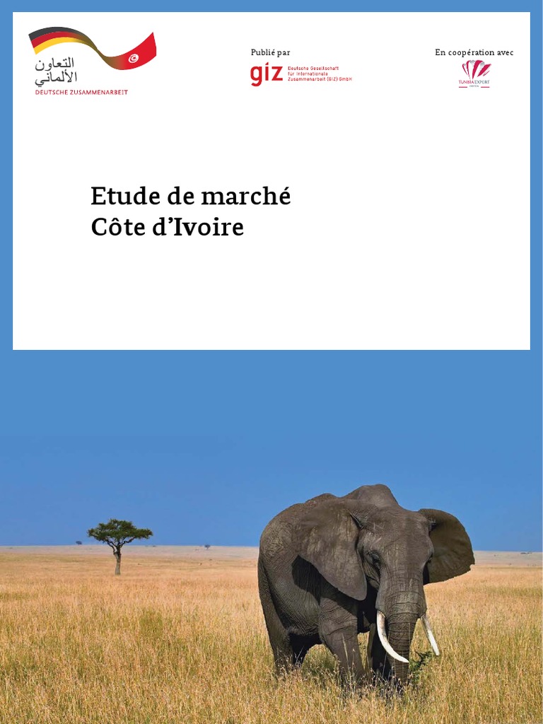 Etude De Marche Cote Divoire Pdf Cote D Ivoire Tunisie