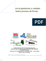 script-tmp-inta_gua_de_plantacin_pecn_pdf.pdf