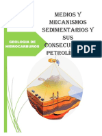 Medios y Mecanismos Sedimentarios y Sus Consecuencias Petrolíferas