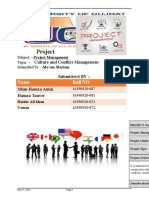 Project Management Culture and Conflict