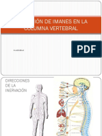 4 Aplicaci - N de Imanes en La Columna Vertebral