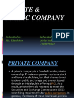 Private & Public Company