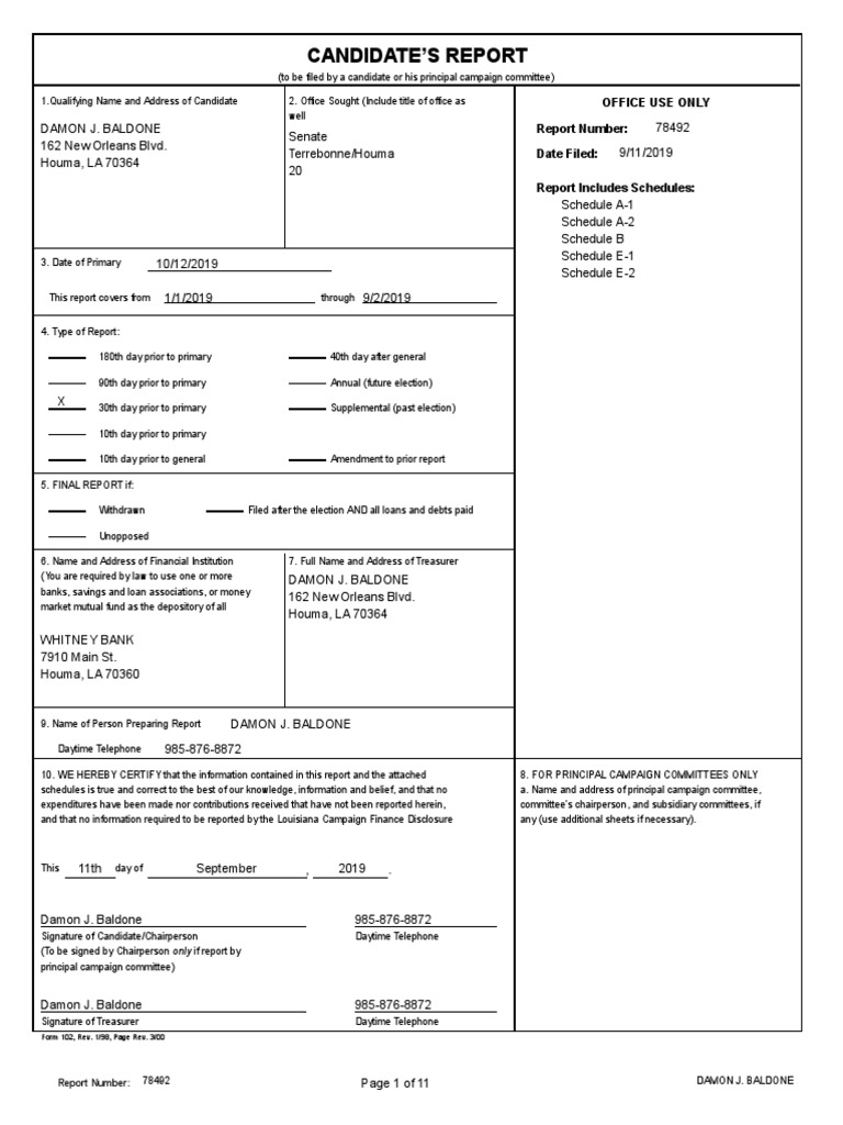 20 Damon Baldone PDF Credit Finance & Money Management