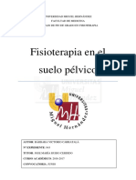 Fisioterapia Del Suelo Pélvico