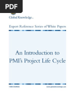 Preparing For Capm Pmi